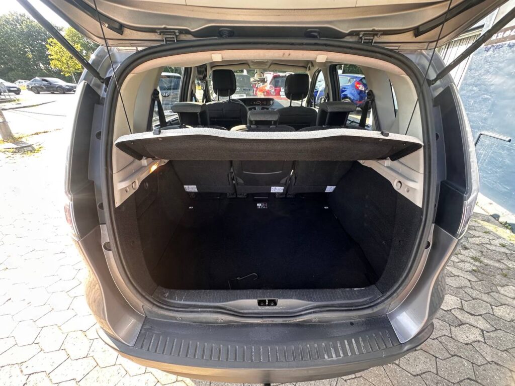 Renault Scenic III
